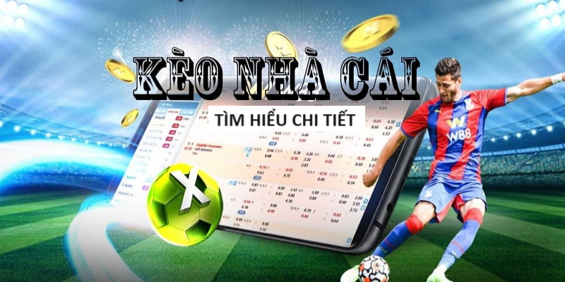 tỷ lệ cá cược bóng đá aff cup Bet365